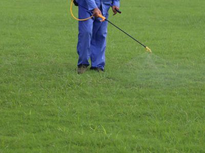 Lawn clearance fertilizing companies
